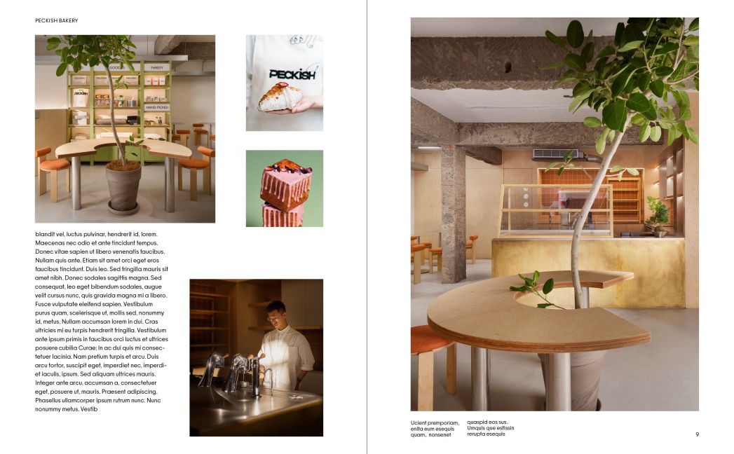 InsideView 4