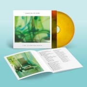 Cover-Bild zum Titel 'Lost In Another World' von 'James Ellis Ford'