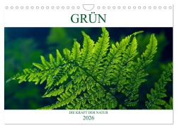 GRÜN . Die Kraft der Natur (Wandkalender 2026 DIN A4 quer), CALVENDO Monatskalender - Susan Michel CH