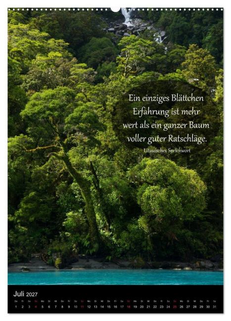 InsideView 12