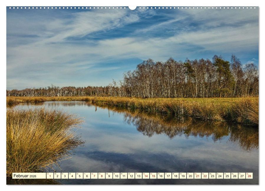 InsideView 6