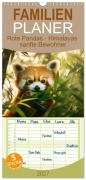 Cover-Bild zum Titel 'Familienplaner 2027 - Rote Pandas - Himalayas sanfte Bewohner mit 5 Spalten (Wandkalender, 21 x 45 cm) CALVENDO' von 'Melanie Viola'