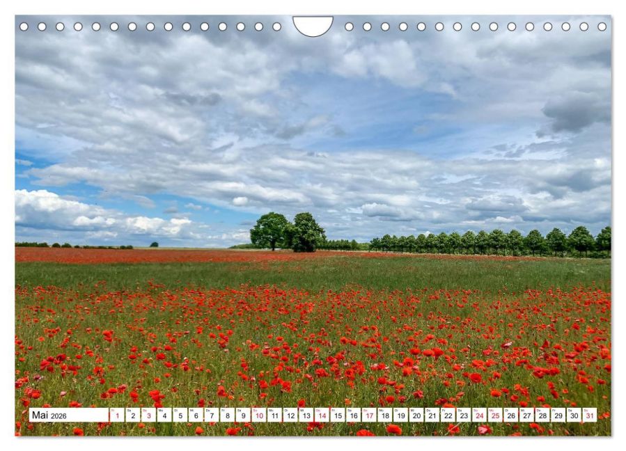 InsideView 10