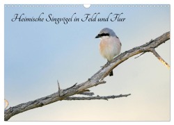 Cover-Bild zum Titel 'Heimische Singvögel in Feld und Flur (Wandkalender 2026 DIN A3 quer), CALVENDO Monatskalender' von 'Benny Trapp'