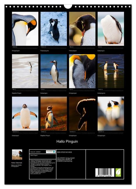 InsideView 5