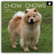 Chow Chows 2026 - 16-Monatskalender - Gifted Stationery Co. Ltd