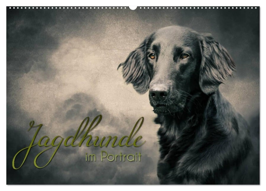 Jagdhunde im Portrait (Wandkalender 2026 DIN A2 quer), CALVENDO Monatskalender - Alexandra Hollstein