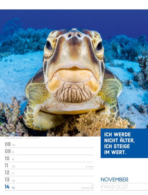 InsideView 49
