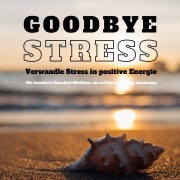 Cover-Bild zum Titel 'Goodbye Stress: Verwandle Stress in positive Energie (Stressreduktion, Stressmanagement)' von 'Institut für Stressmanagement'