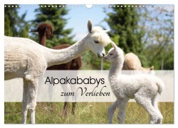Cover-Bild zum Titel 'Alpakababys zum Verlieben (Wandkalender 2026 DIN A3 quer), CALVENDO Monatskalender' von 'Heidi Rentschler'