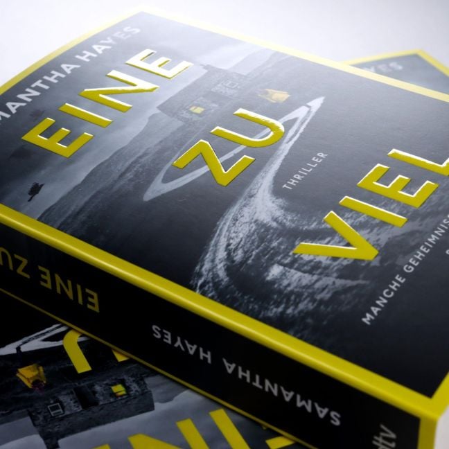 InsideView 6