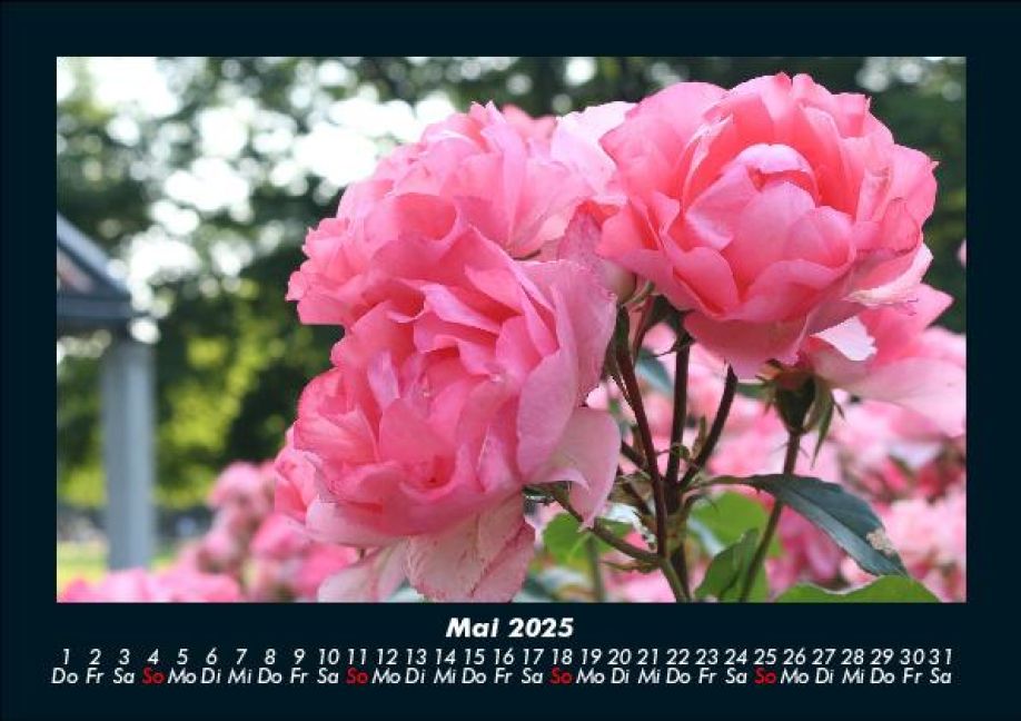 InsideView 9