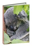 Cover-Bild zum Titel 'Schülerkalender Forum Tiere Koala 2026 / 2027' von ''