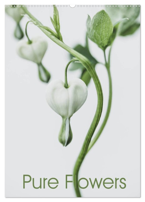 Pure Flowers (Wandkalender 2026 DIN A2 hoch), CALVENDO Monatskalender - Andreas Lauermann