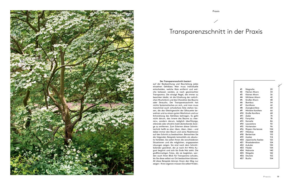 InsideView 5