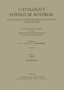 Cover-Bild zum Titel 'Vermes' von 'Walter J. Schmidt'