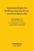 Cover-Bild zum Titel 'Gegenwartsfragen des liechtensteinischen Privat- und Wirtschaftsrechts' von ''