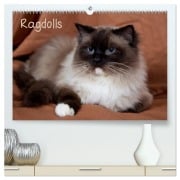 Ragdolls (hochwertiger Premium Wandkalender 2026 DIN A2 quer), Kunstdruck in Hochglanz - Fotodesign Verena Scholze