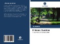 Cover-Bild zum Titel 'Dillmans Quadron' von 'Ray Dillman'