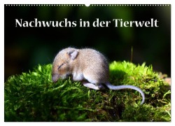 Cover-Bild zum Titel 'Nachwuchs in der Tierwelt (Wandkalender 2026 DIN A2 quer), CALVENDO Monatskalender' von 'Gugigei Gugigei'