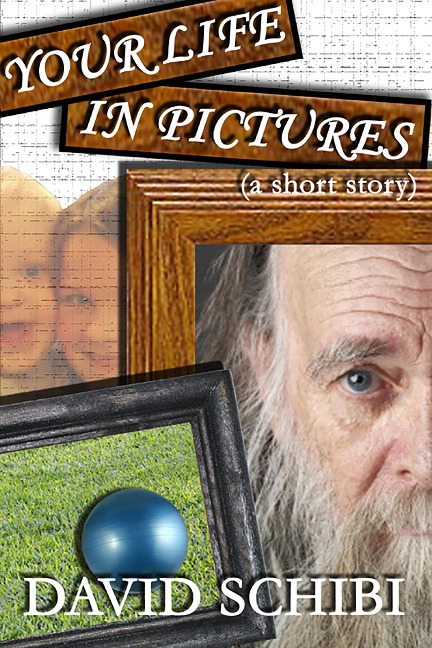Your Life In Pictures - David Schibi