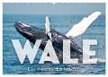 Wale - Die Riesen der Meere. (Wandkalender 2024 DIN A2 quer), CALVENDO Monatskalender - Sf Sf