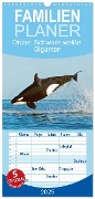 Familienplaner 2025 - Orcas: Schwarz-weiße Giganten mit 5 Spalten (Wandkalender, 21 x 45 cm) CALVENDO - Calvendo Calvendo