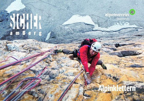 Sicher am Berg: Alpinklettern - Gerhard Mössmer, Lukas Fritz, Michael Larcher