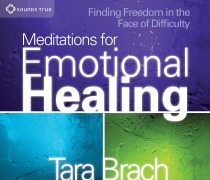Meditations for Emotional Healing: Finding Freedom in the Face of Difficulty - Tara Brach