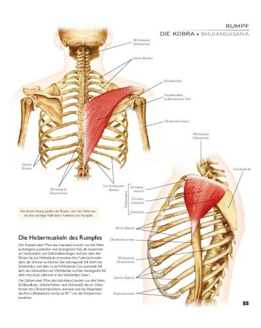 InsideView 6