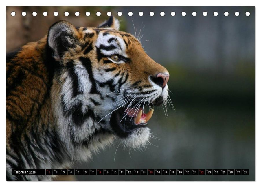 InsideView 7