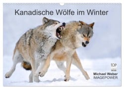 Cover-Bild zum Titel 'Kanadische Wölfe im Winter (Wandkalender 2026 DIN A3 quer), CALVENDO Monatskalender' von 'Michael Weber'