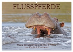 Flusspferde Magie des Augenblicks - Hippos in Afrika (Wandkalender 2025 DIN A2 quer), CALVENDO Monatskalender - Winfried Wisniewski