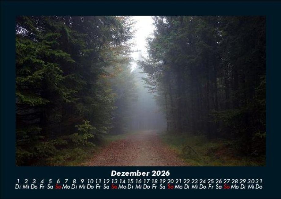 InsideView 4