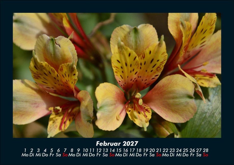 InsideView 6