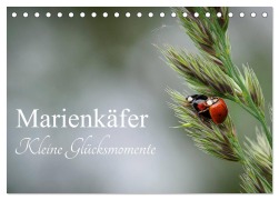 Cover-Bild zum Titel 'Marienkäfer - kleine Glücksmomente (Tischkalender 2026 DIN A5 quer), CALVENDO Monatskalender' von 'Karin Dederichs'
