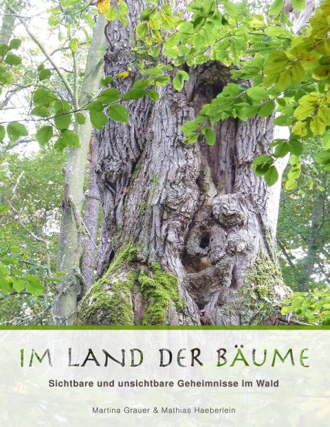 Im Land der Bäume - Martina Grauer, Mathias Haeberlein