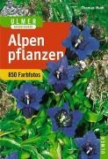 Alpenpflanzen - Thomas Muer, Oskar Angerer