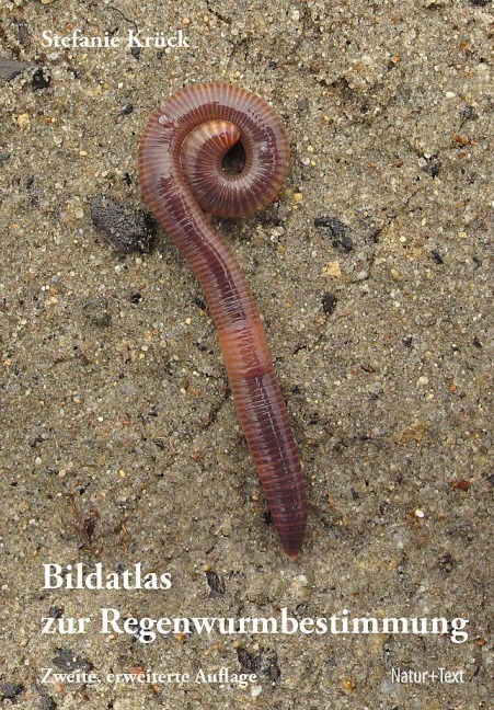 Bildatlas der Regenwurmbestimmung - Stefanie Krück