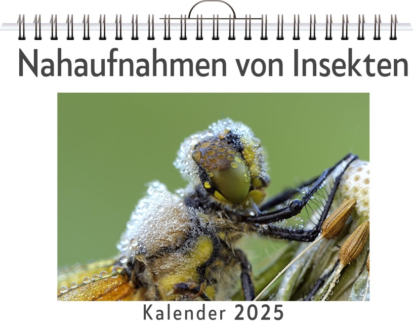 Nahaufnahmen von Insekten - Paul Wolf