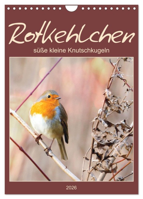 Rotkehlchen, süße kleine Knutschkugeln (Wandkalender 2026 DIN A4 hoch), CALVENDO Monatskalender - Sabine Löwer