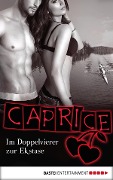 Cover-Bild zum Titel 'Im Doppelvierer zur Ekstase - Caprice' von 'Anna Valentin'