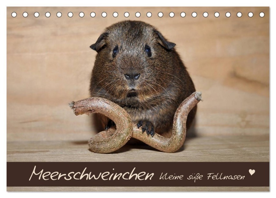 Meerschweinchen - Kleine süße Fellnasen (Tischkalender 2027 DIN A5 quer), CALVENDO Monatskalender - Petra Fischer