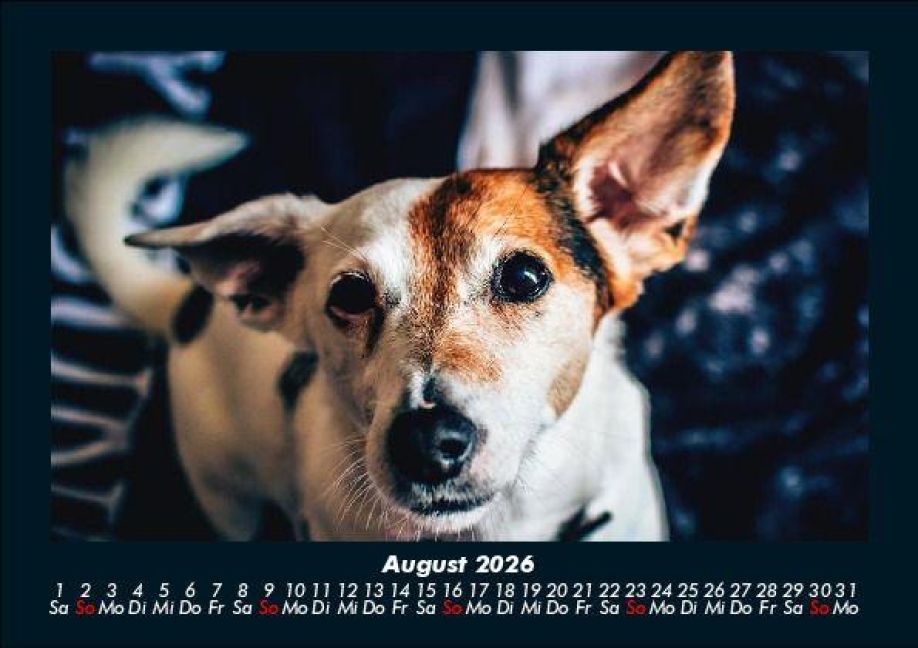 InsideView 12