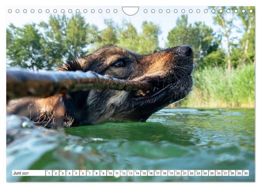 InsideView 11