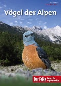 Vögel der Alpen - Falke-Sonderheft 2022 - 