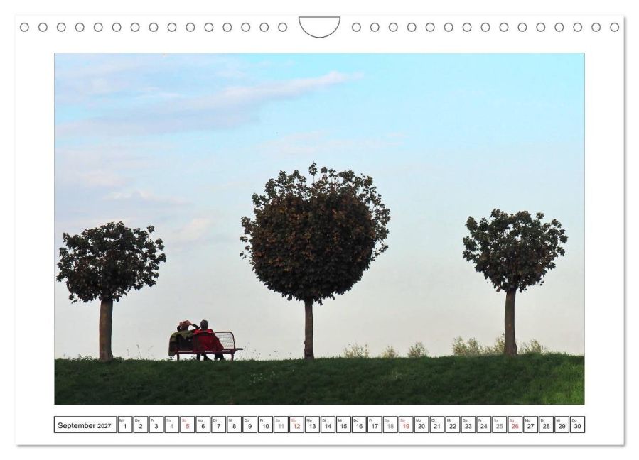 InsideView 14