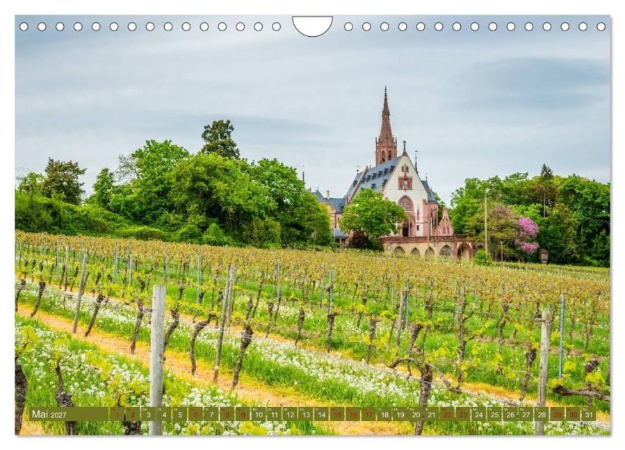 InsideView 10