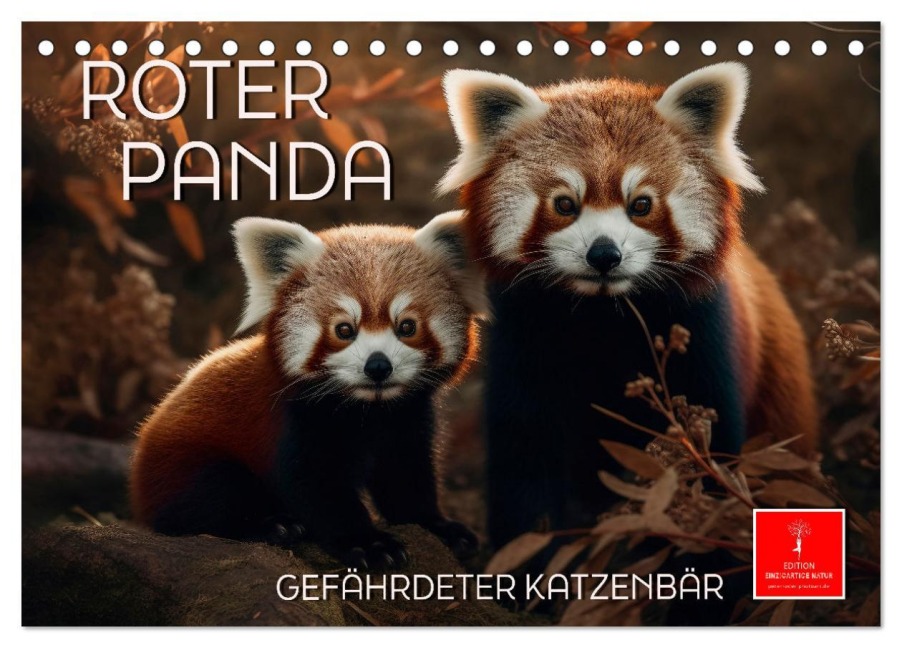 Roter Panda - gefährdeter Katzenbär (Tischkalender 2026 DIN A5 quer), CALVENDO Monatskalender - Peter Roder