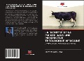 Cover-Bild zum Titel 'LA RICHESSE DE LA MARIÉE DANS UNE PERSPECTIVE THÉOLOGIQUE AFRICAINE' von 'Martin Wesonga'